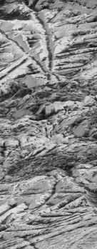 Close-up of Europa’s fractured icy surface, featuring ridges, cracks and intersecting bands of rough, textured terrain.