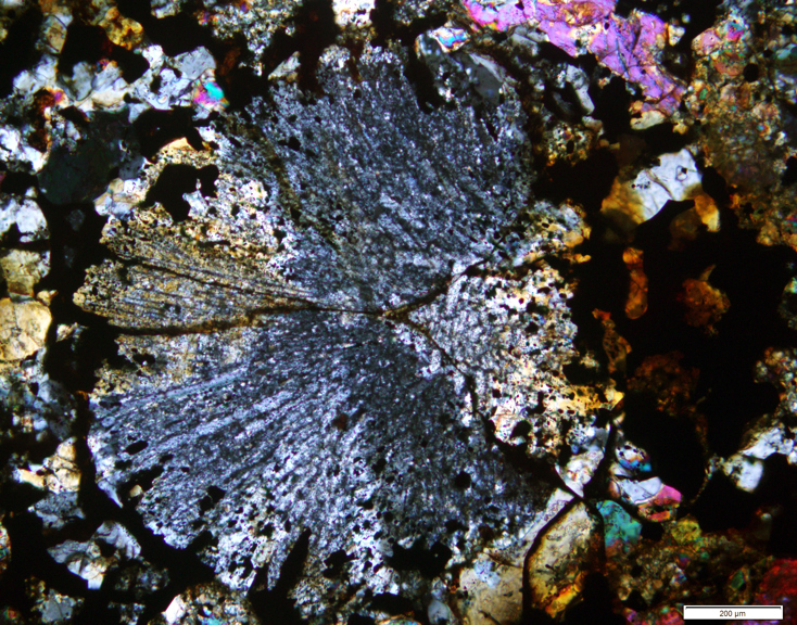 Detail of a cross section of a meteorite