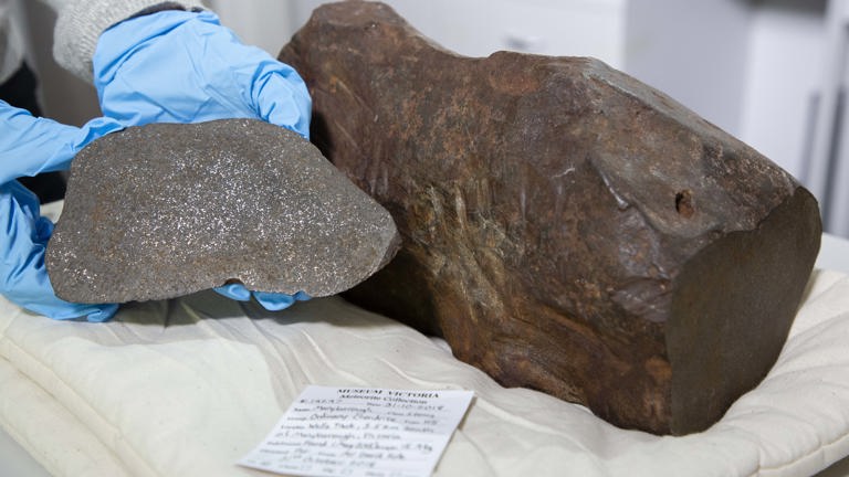 Blue gloved hands holding a grey rock next to a large brown rock on a conservation cushion