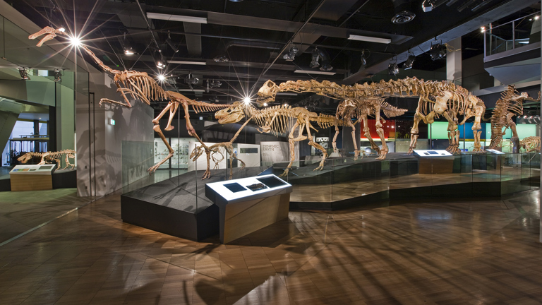 Science and Life Gallery, Melbourne Museum