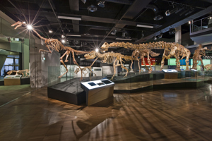 Science and Life Gallery, Melbourne Museum