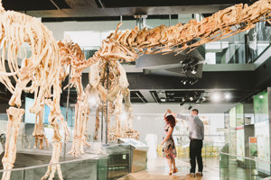 Science and Life Gallery, Melbourne Museum
