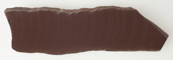 Tidal rhythmite specimen showing banding due to tidal deposits