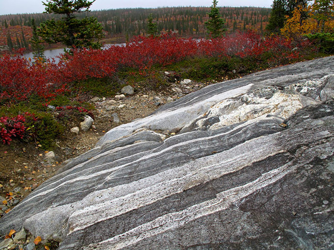 Slab of acasta gneiss beside a tree-encircled lake