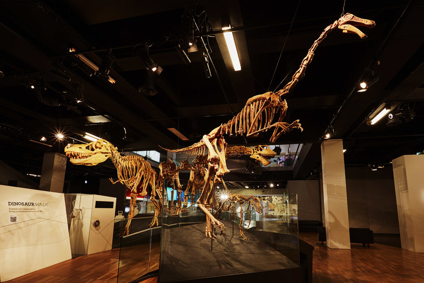 Entrance to the Dinosaur Walk, Science and Life Gallery.