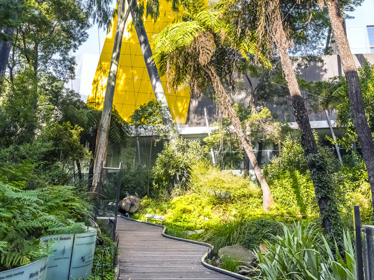 View of the Forest Gallery.