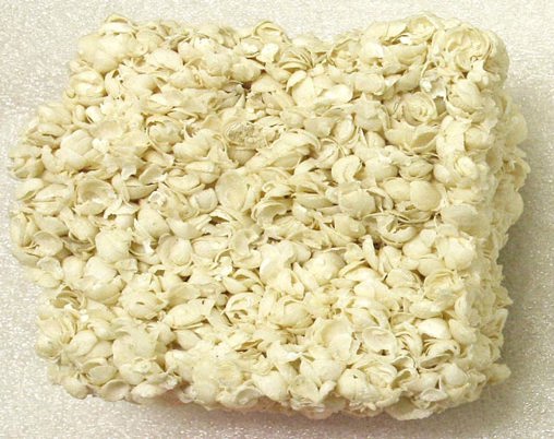 Limestone specimen
