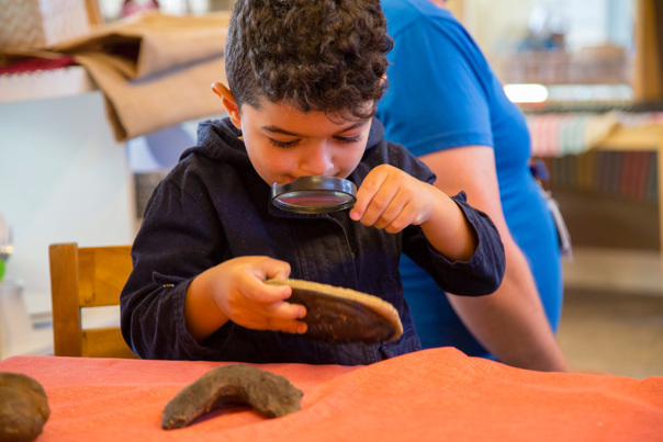 Kindergarten child using a magnifying glass to look at a scientific specimen during a visit by the Museums Victoria outreach team.