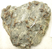 Staurolite mica schist specimen