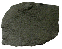A mudstone specimen