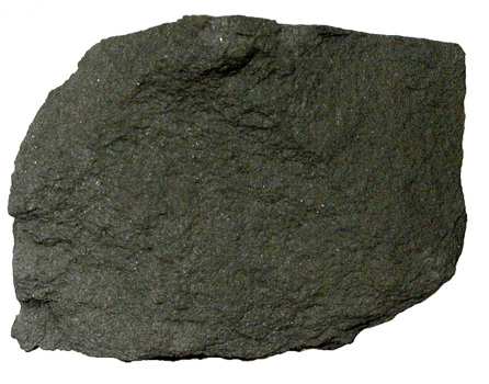 A mudstone specimen