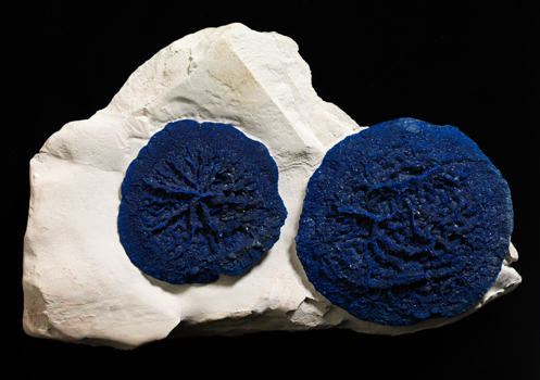 Azurite mineral specimen