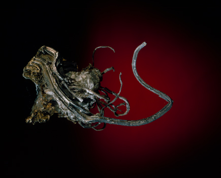 Silver specimen