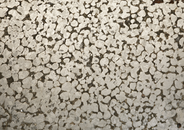 Detail of an iron meteorite