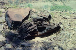 Upturned shale