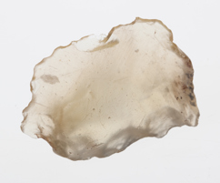 Impactite specimen