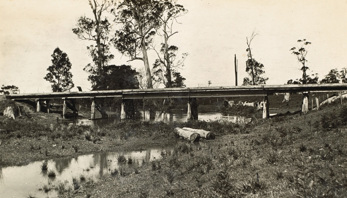 Bridge across the Tarra River on the Alberton to Won Wron line, 1921
