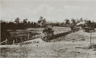Steam locomotive hauling passenger carriages crossing viaduct, Yarra Glen, pre-28 December 1920
