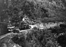 Steam train travelling to Walhalla, 1919