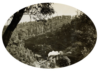 Bridge over the Thomson River on the Moe to Walhalla line, 1901