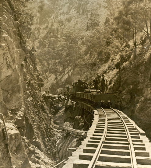 Construction staff with a trainload of timber, Walhalla district, 1906
