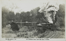 Gembrook train, Ferntree Gully, circa 1940