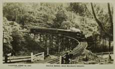 Crossing a wooden trestle bridge, near Belgrave Heights, circa 1940