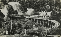Gembrook train, Tecoma, circa 1920