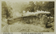 Crossing the Horseshoe Bridge, Belgrave, circa 1920