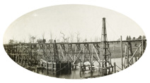 Bridge under construction over the Nicholson River on the Bairnsdale to Orbost line, 1915