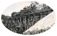 A steam R317 locomotive and tender drawing two trucks and a guard's van crossing Mundic Creek on the Bairnsdale to Orbost line, Bairnsdale, 1915