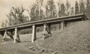 A bridge on timber trestles awaiting completion, on the Warragul to Noojee line, Neerim South, circa 1916