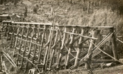 Rail bridge under construction on the Warragul to Noojee line, Neerim South, circa 1916