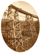 Rail bridge under construction on the Warragul to Noojee line, circa 1916