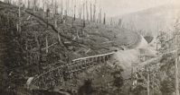 Rail bridge under construction on the Warragul to Noojee line, Neerim South, 1918. The piers are in place and the decking is being added; the hillside on the left has been burnt by bushfires.