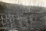 Rail bridge under construction on the Warragul to Noojee line, Neerim South, 1918. Timber trestle piers are in place and a travelling crane is lowering a girder into place.