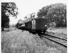 Rear of goods train, Killara, 1964