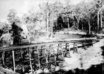 Monbulk Bridge on the Ferntree Gully to Gembrook line