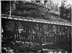 Curdies River Bridge, Timboon, March 1919