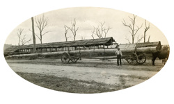 Bridge over the Nicholson River, Bairnsdale to Orbost line. An 80 ft pile is being delivered by a jinker drawn by a bullock team, circa 1915.