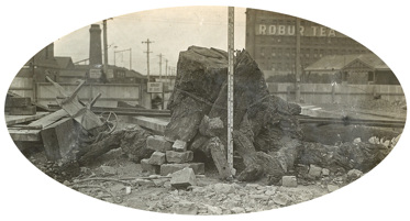 Spencer Street Bridge, circa 1917-30. A large stump, encountered during the construction of the bridge, taken from 63 ft below the water mark