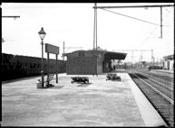 Island platform, Essendon Railway Station, circa 1919