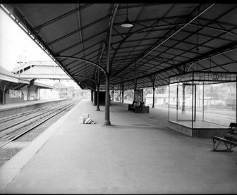 Island platform, Hawthorn Railway Station, circa 1960