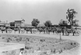 Horses and carts outside Beaufort Railway Station, circa 1890