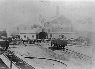 Grain stacks and rail trucks, Warracknabeal rail yards, circa 1895