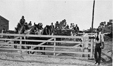 Horses and carts at railway gates, Kyabram Railway Station, circa 1915