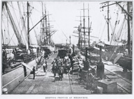 Loaded bagged wheat for export from rail trucks into sailing ships, Williamstown Pier, circa 1900