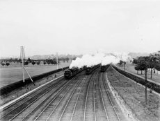 Three E class steam locomotives (nos. 504, 492 and 486) hauling suburban passenger trains bound variously for Sandringham, Oakleigh and Box Hill