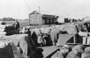 Unloading potatoes, Bungaree Railway Station, circa 1935
