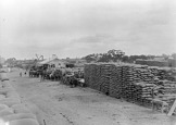 Constructing a grain stack, Warracknabeal rail yards, 1898